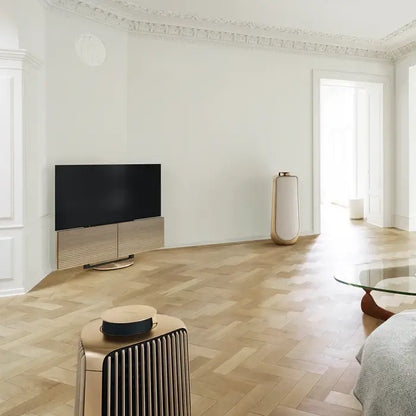 Bang & Olufsen Beovision Harmony fjernsyn i moderne stue med parketgulv