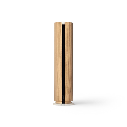 Beosound Emerge kompakt WiFi-højttaler i lyst træfinish med vertikal design